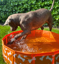 honden-piscina-arancione-bottoni-80-cm-swim-essentials-7