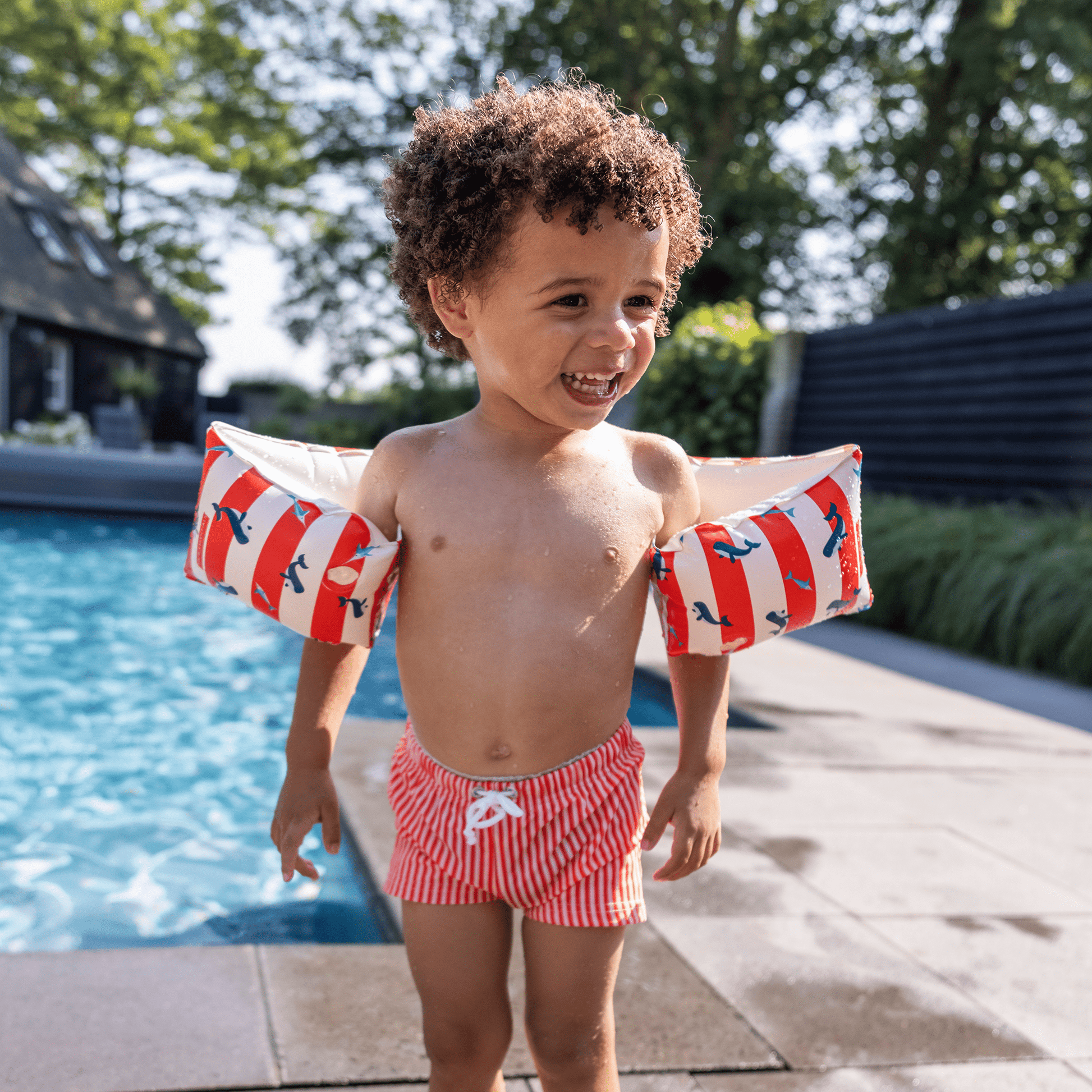 braccioli-whale-0-2-anni-swim-essentials-2